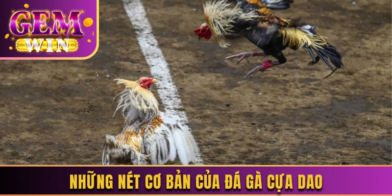 Những nét cơ bản của đá gà cựa dao