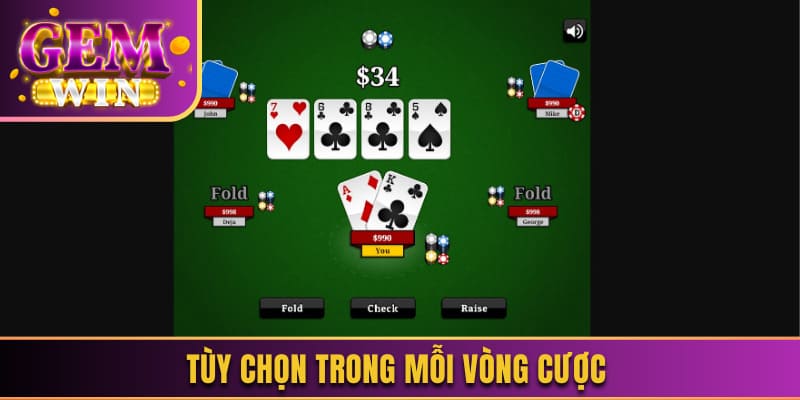 Tùy chọn trong mỗi vòng cược